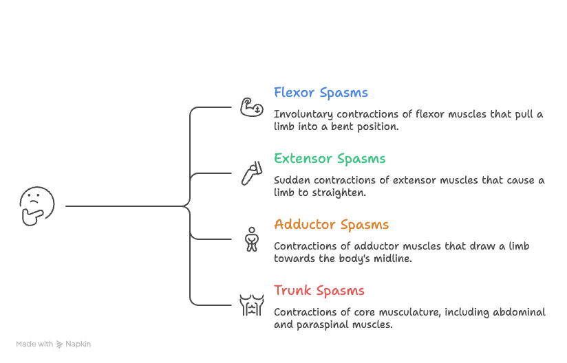 Types Of Muscle Spasm By Movement